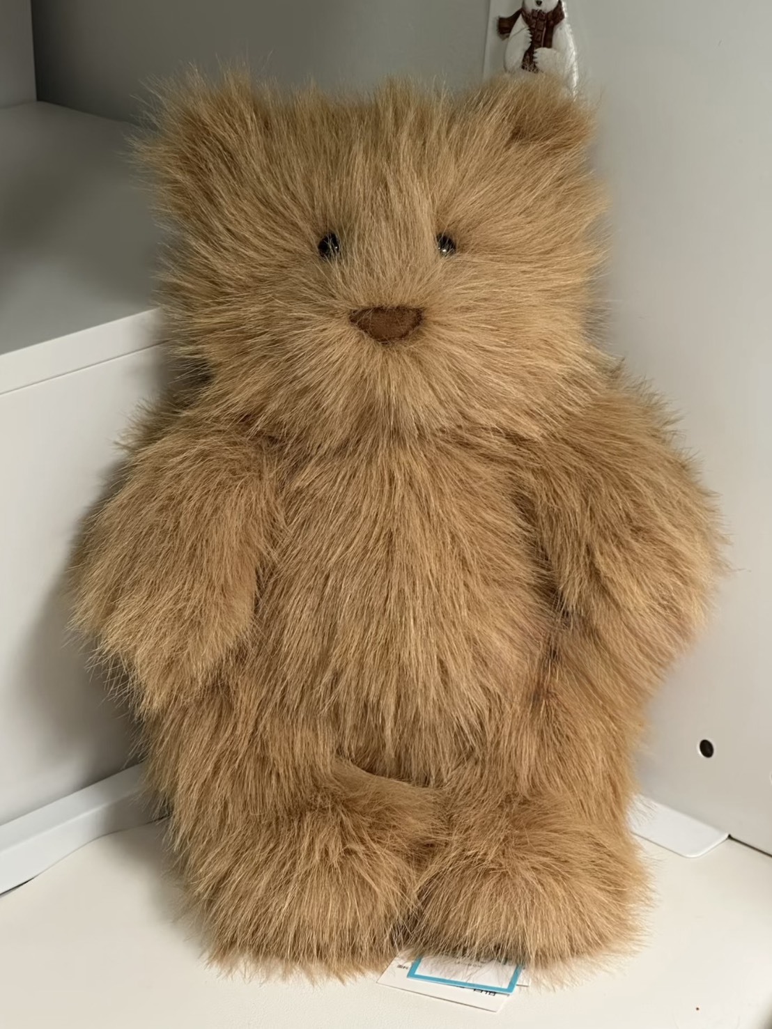 JELLYCAT 蓬蓬 炸毛 巴塞羅熊 棕色 22CM