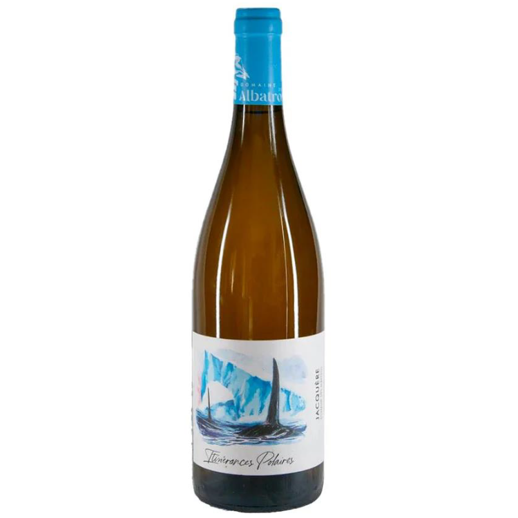 Domaine Albatros Itinerances Polaires 2024