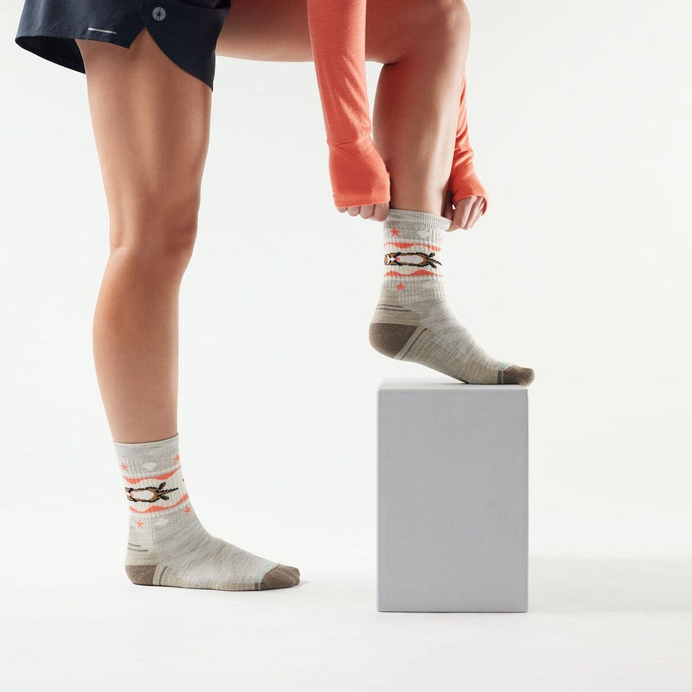 Smartwool 女 機能戶外全輕量減震中長襪 Women's Hike Otter Float Crew Socks 水獺 塵灰色 SW003048069 [HappyOutdoor]