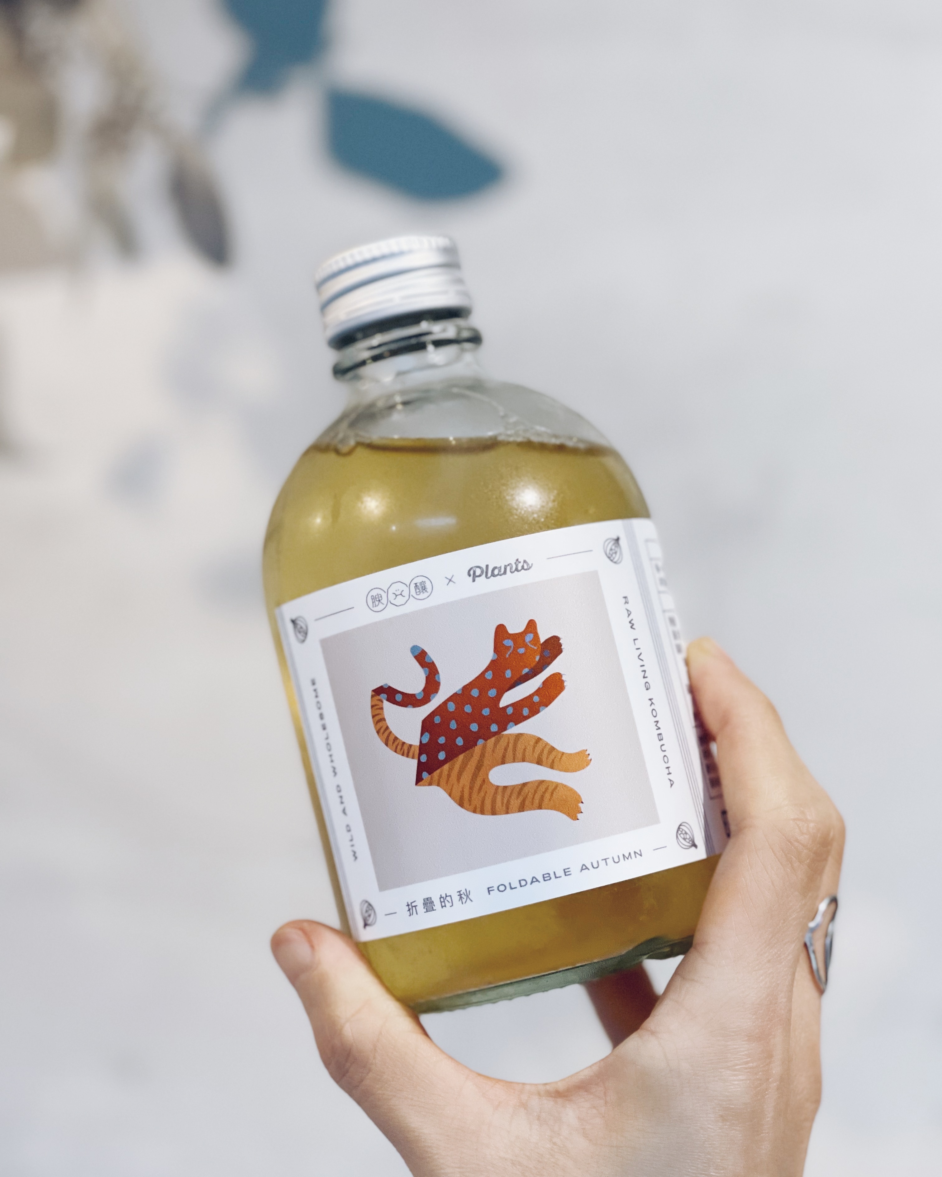 9｜探索不同發酵飲品風味