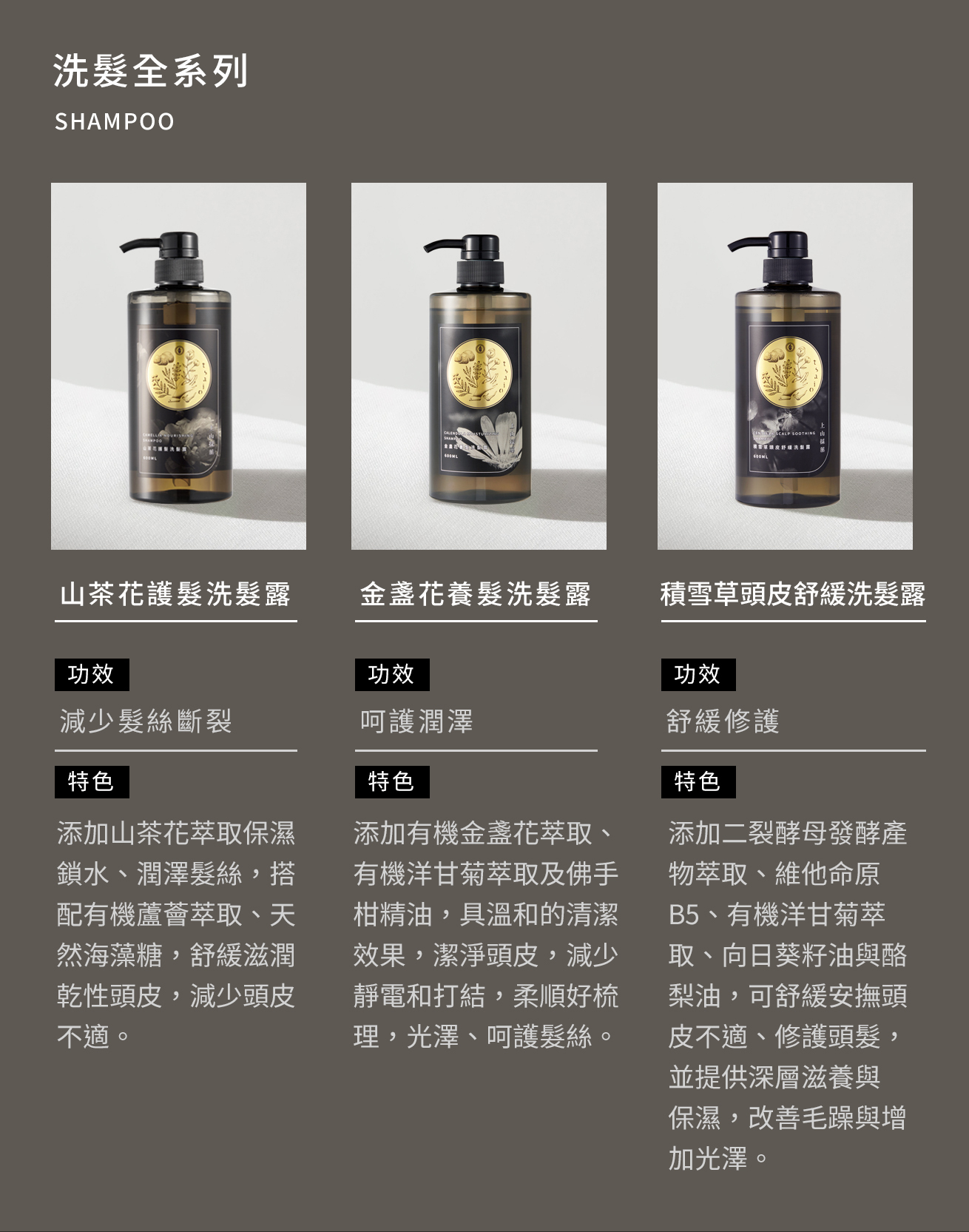 tsaio上山採藥】山茶花護髮洗髮露600ml-官方網站
