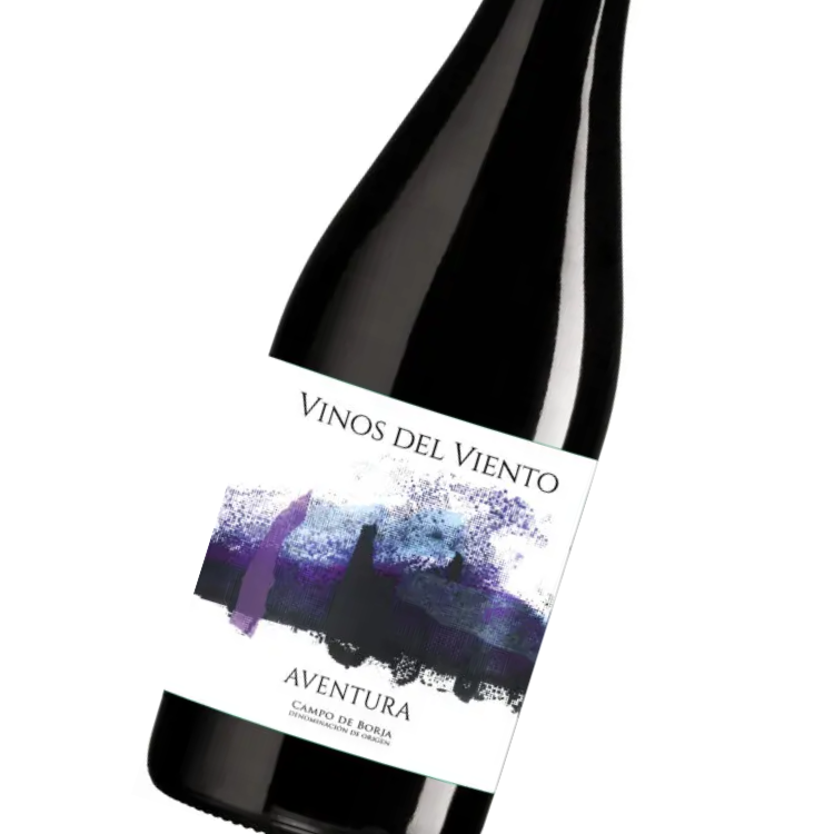 Vinos del Viento Aventura|Calatayud