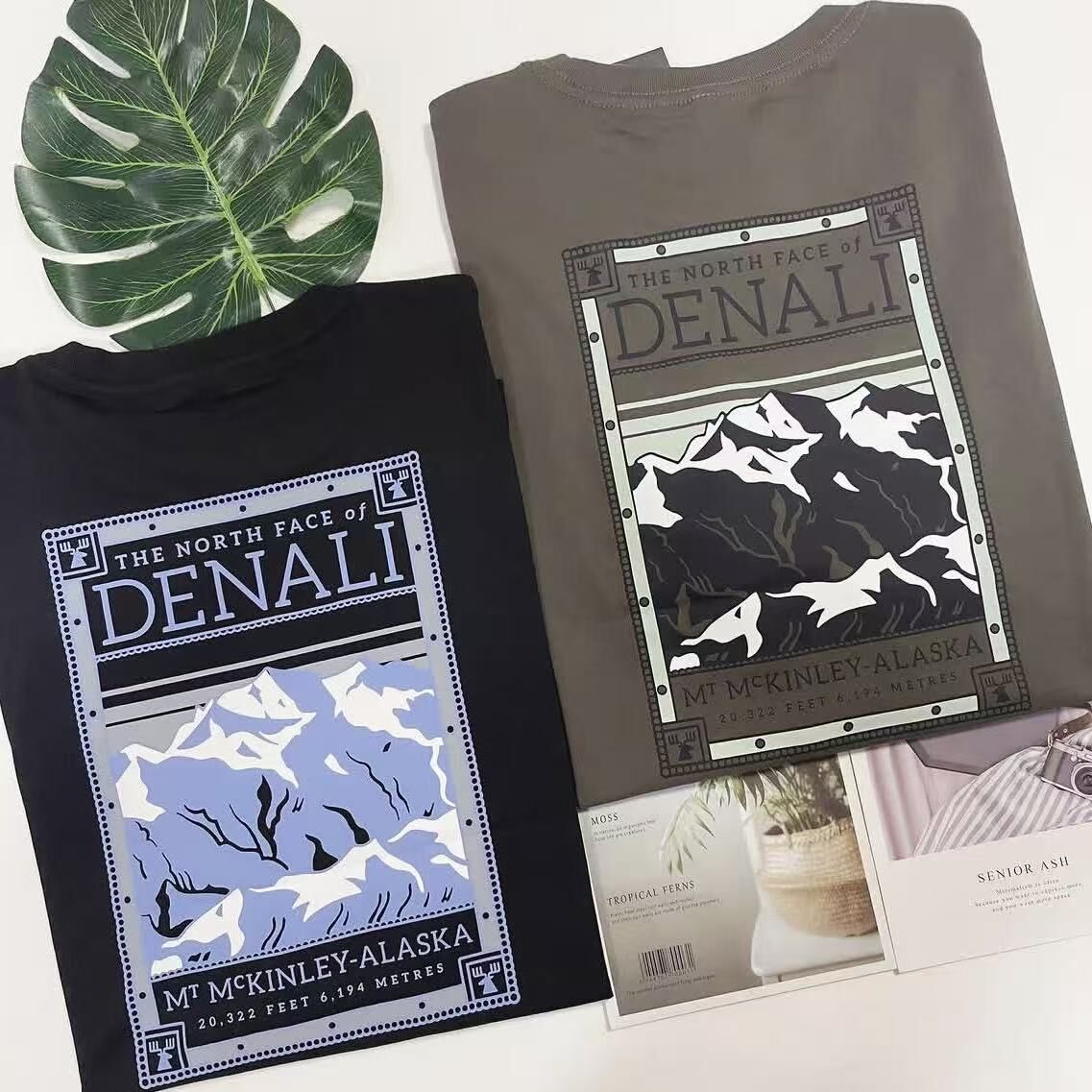THE NORTH FACE DENALI BACK PRINT TEE