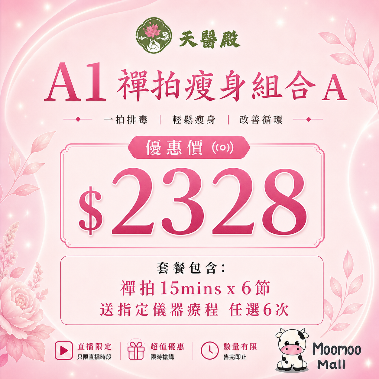 A1 天醫殿禪拍瘦身組合 A【6節禪拍+送儀器療程6次】