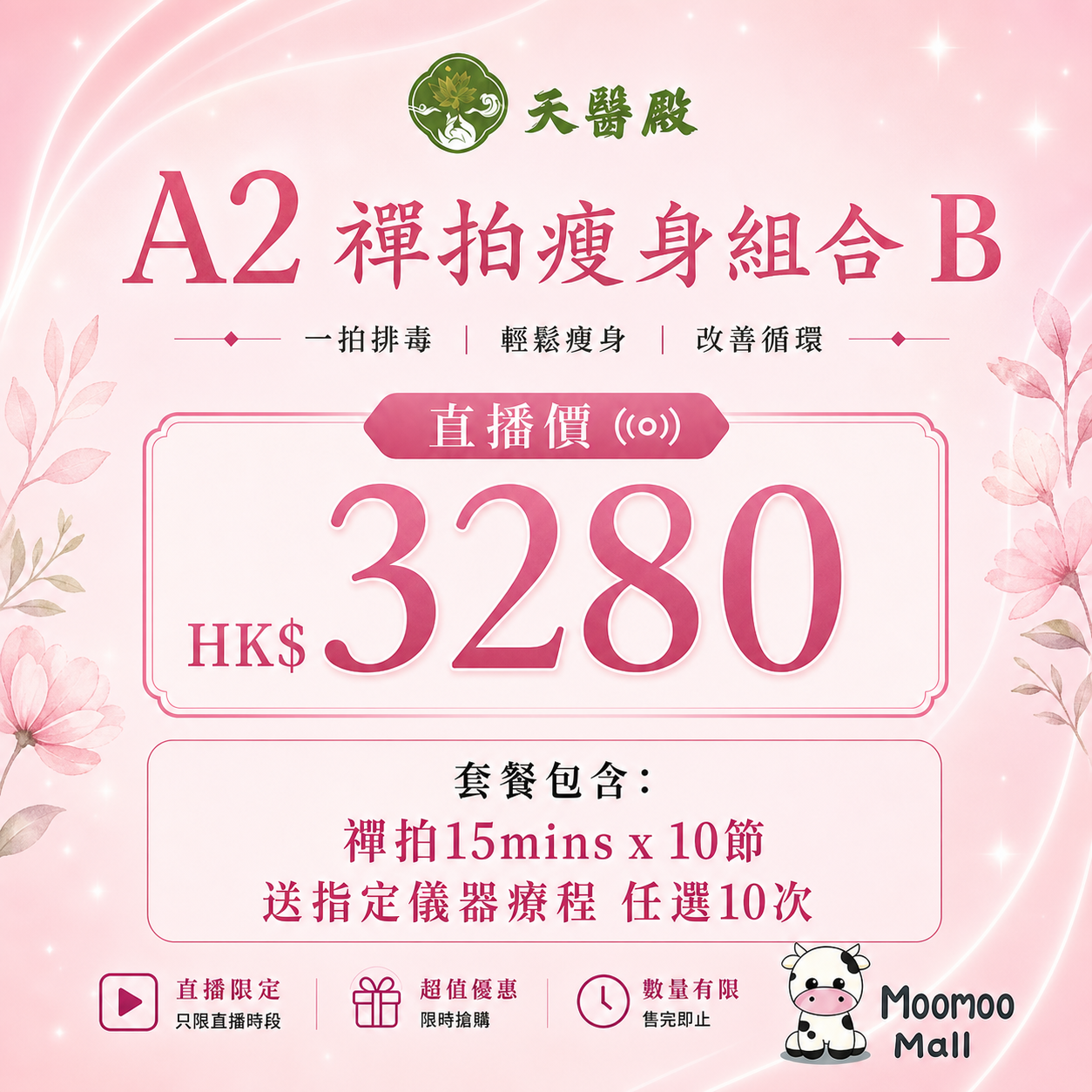 A2 天醫殿禪拍瘦身組合 B【10節禪拍+送儀器療程10次】