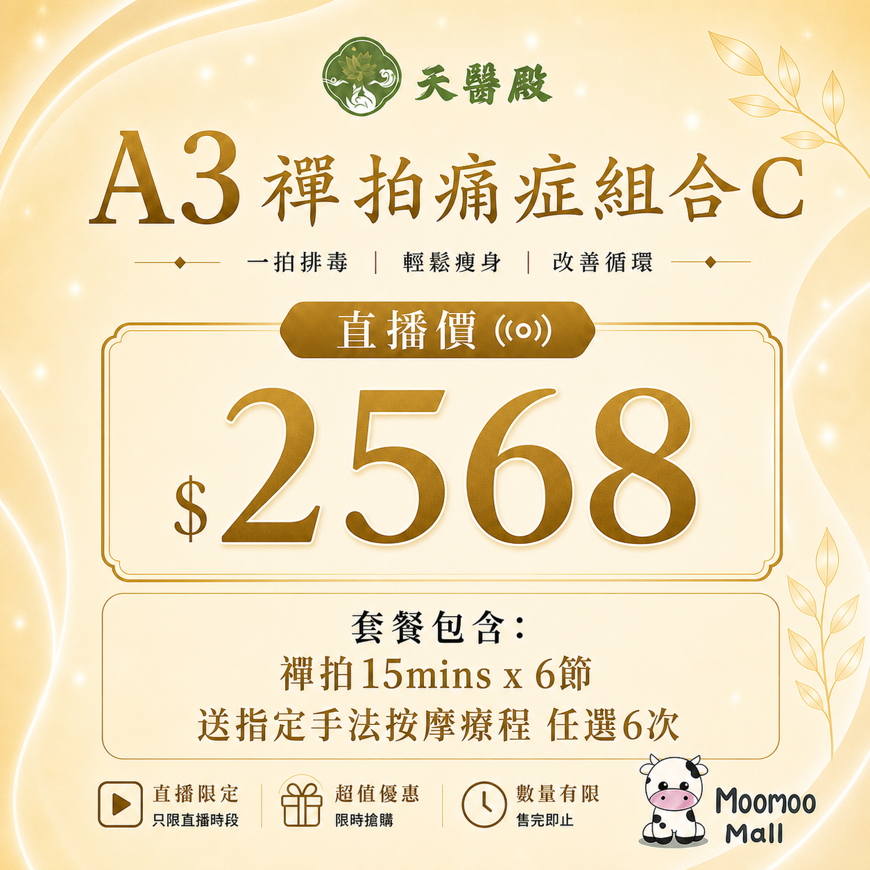 A3 天醫殿禪拍痛症組合 C【6節禪拍+送手法按摩6次】