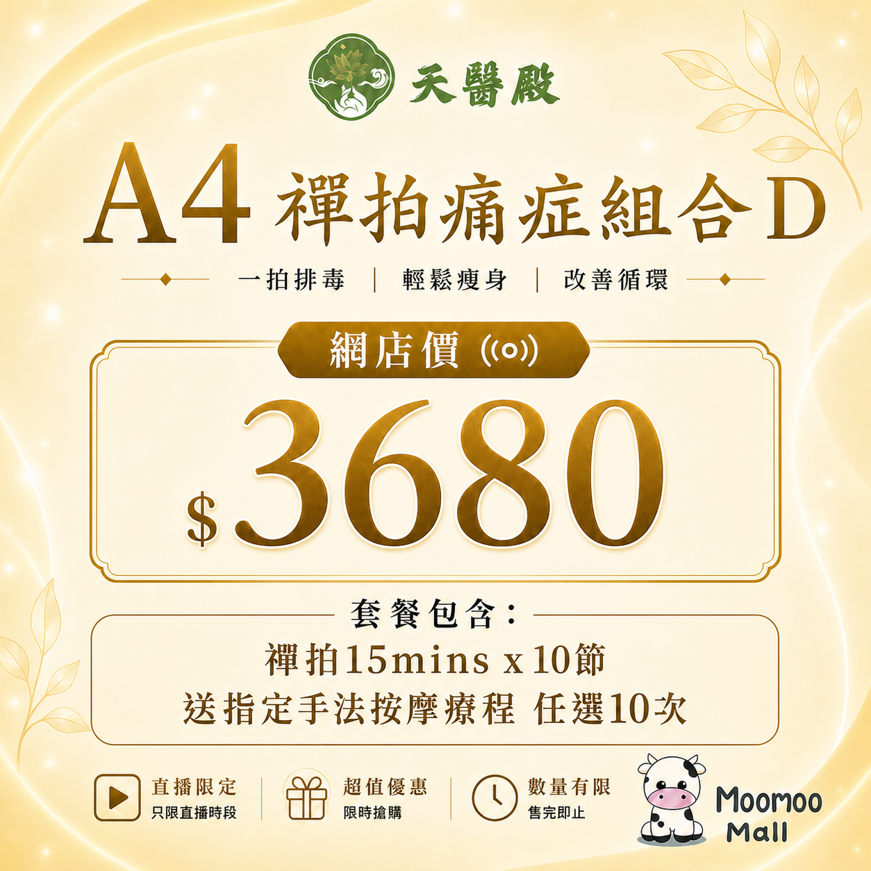 A4 天醫殿禪拍痛症組合 D【10節禪拍+送手法按摩10次】