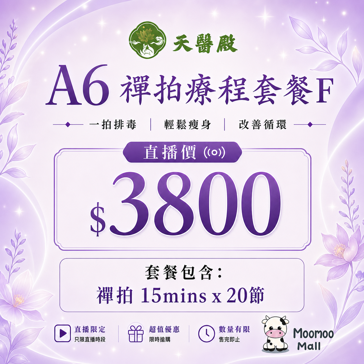 A6 天醫殿禪拍套餐 F【20節禪拍】