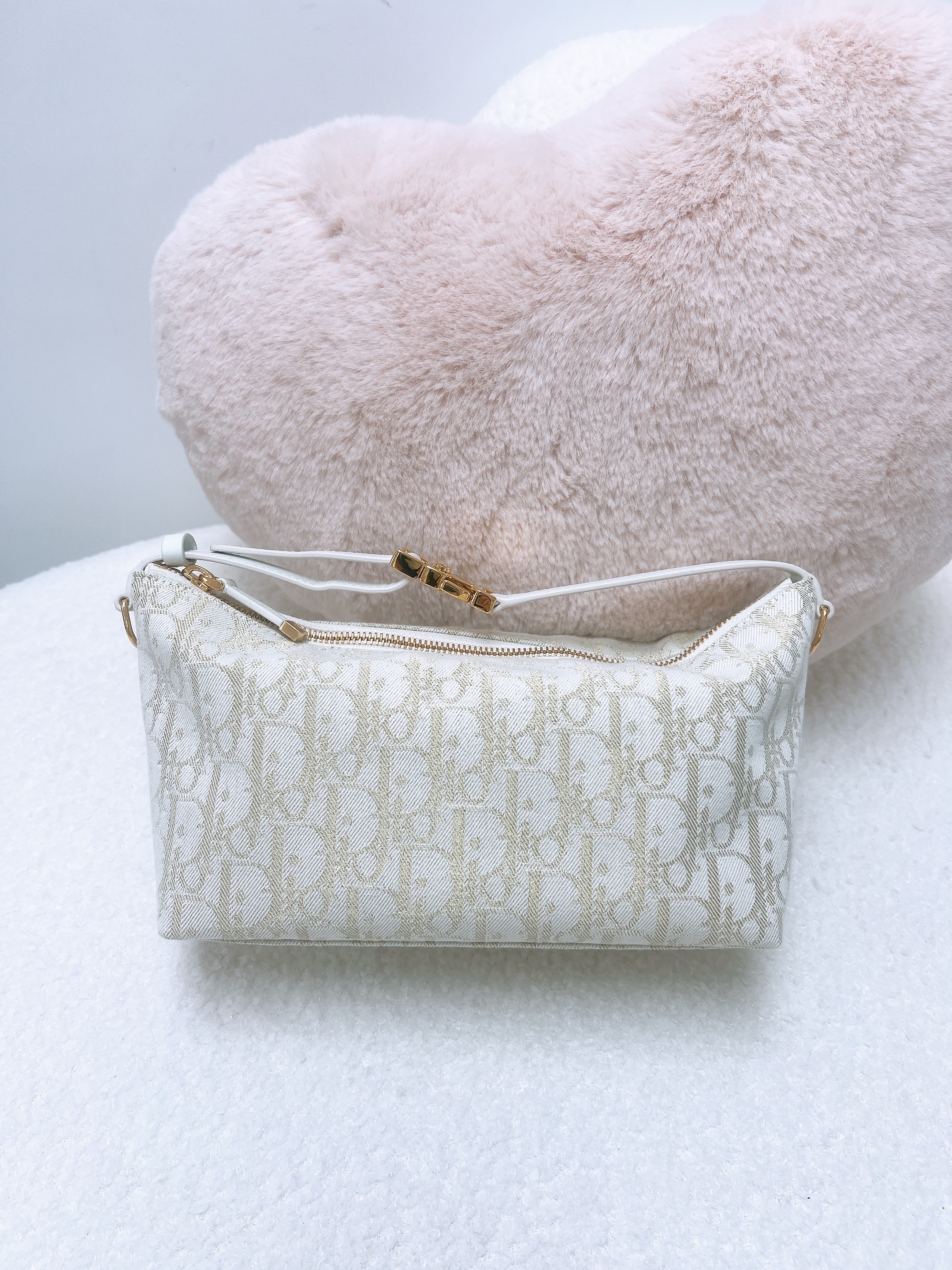 Dior diortravel nomad pouch medium (gold oblique)