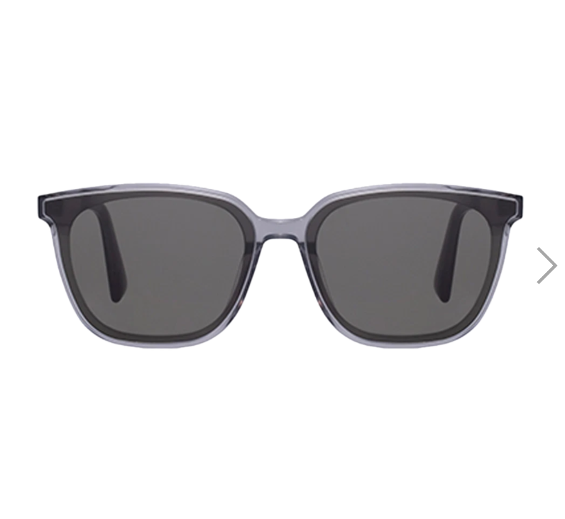 CR260505-C48 LAND RLOGO GRAY SUNGLASS