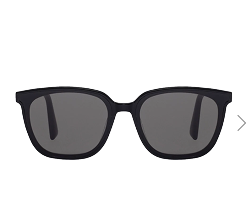 CR260505-C47 LAND RLOGO BLACK SUNGLASS