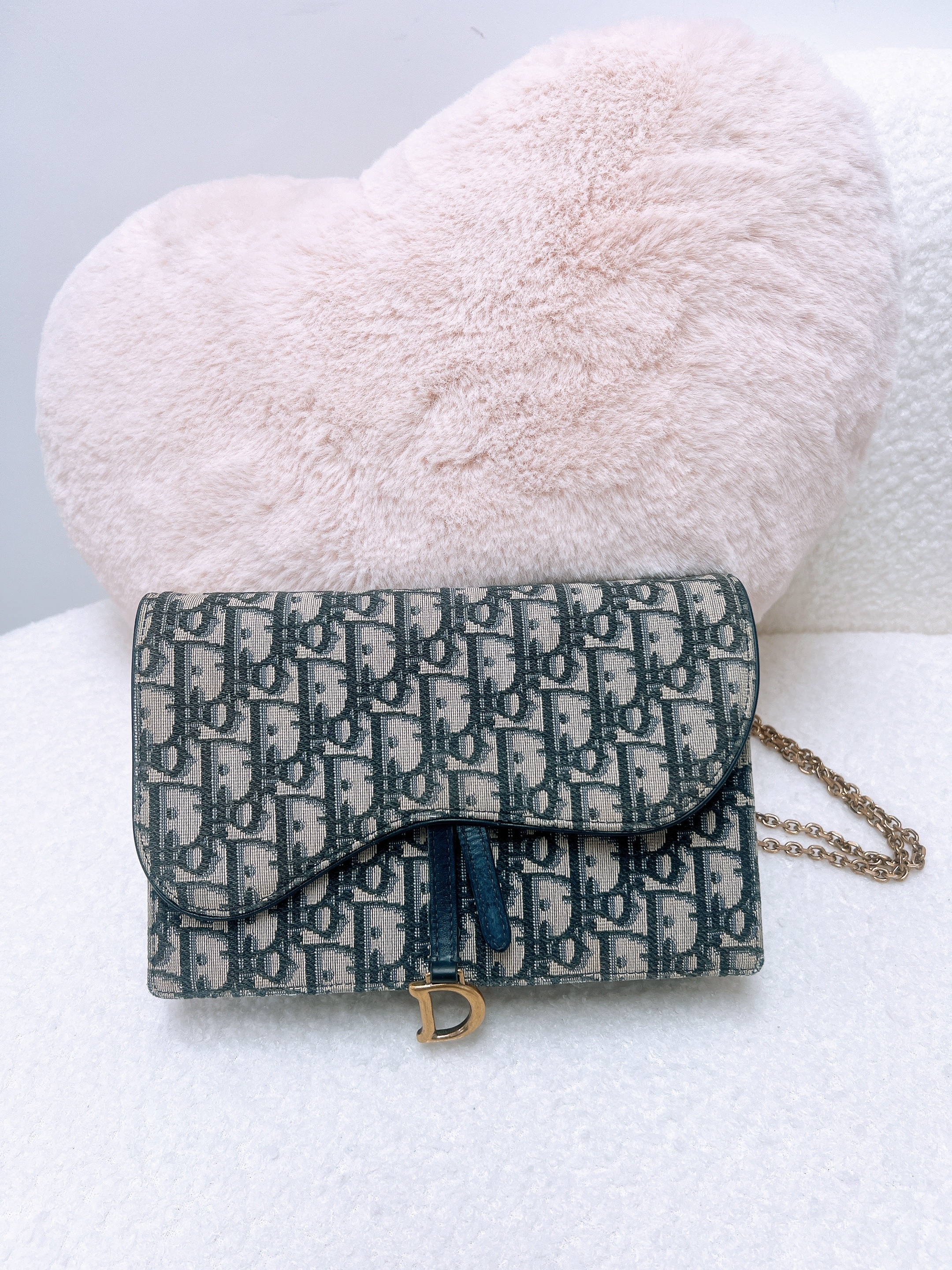 Dior saddle woc / wallet on chain (blue oblique)