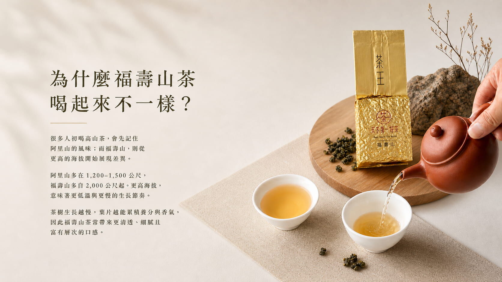 福壽山茶園雲海景觀與茶樹特寫，海拔兩千公尺以上