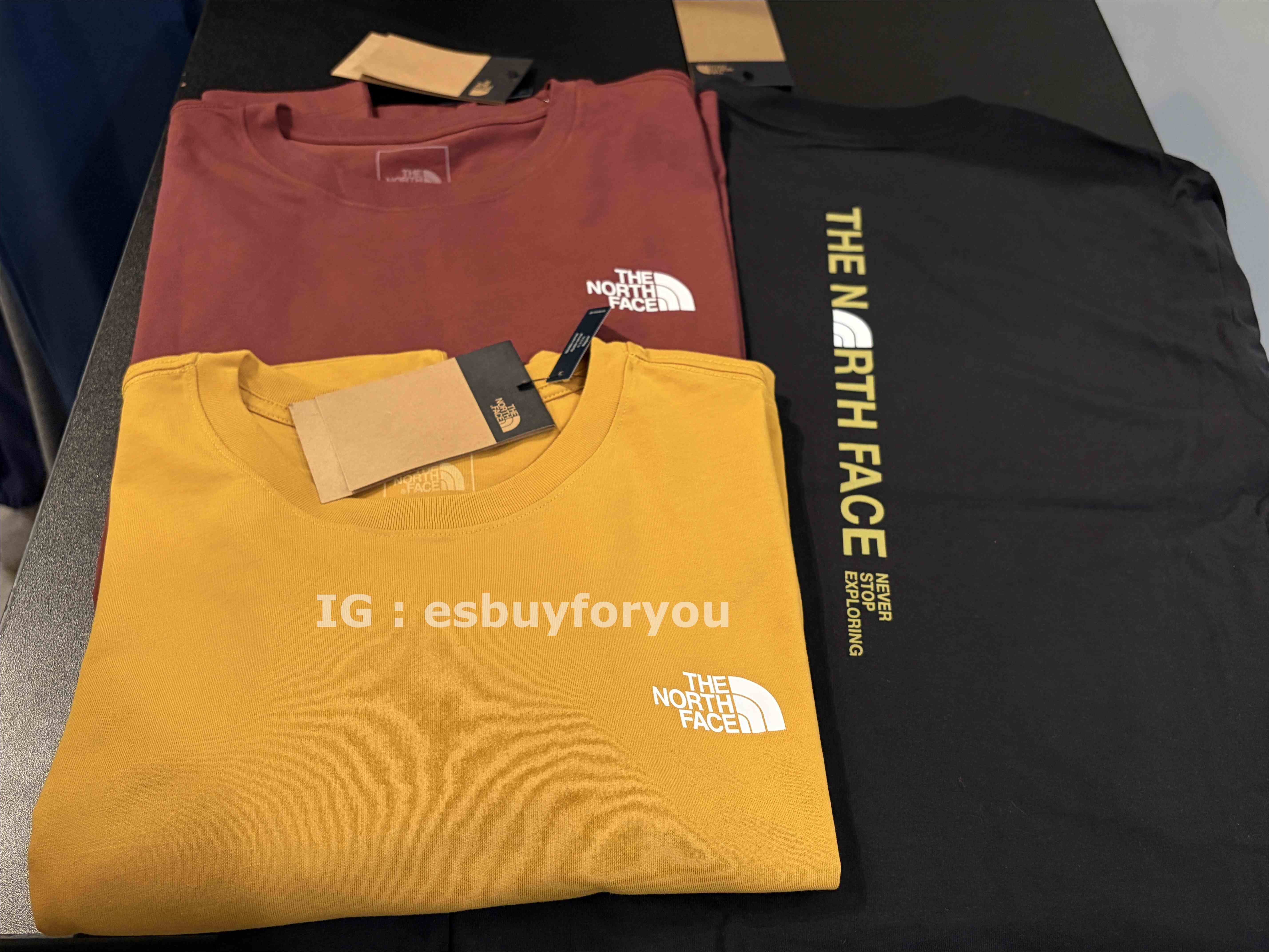 THE NORTH FACE 男大人 正反字樣標語 短TEE (3色)
