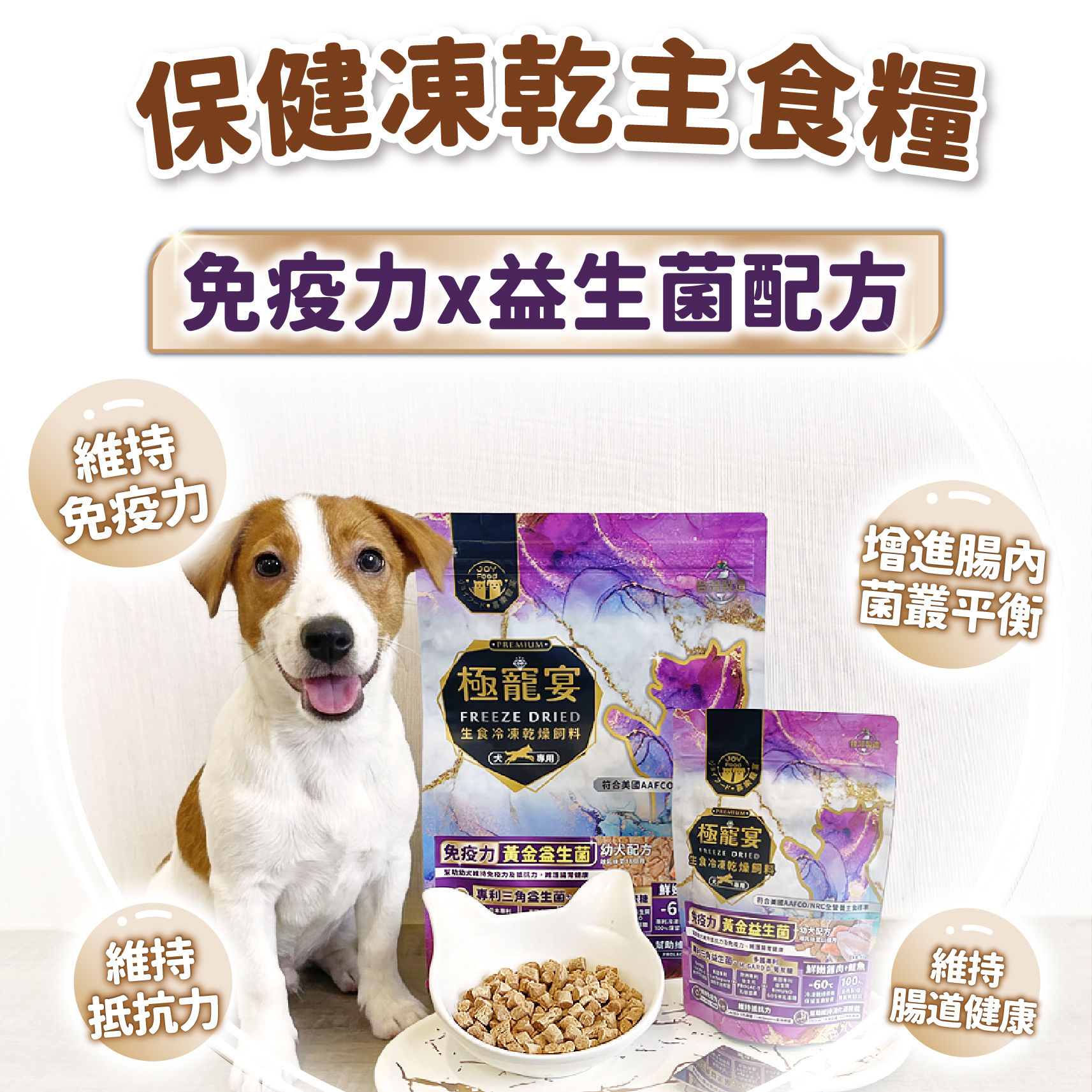幼犬-雞肉+鮭魚 免疫力黃金益生菌配方 極寵宴凍乾主食飼料 500g