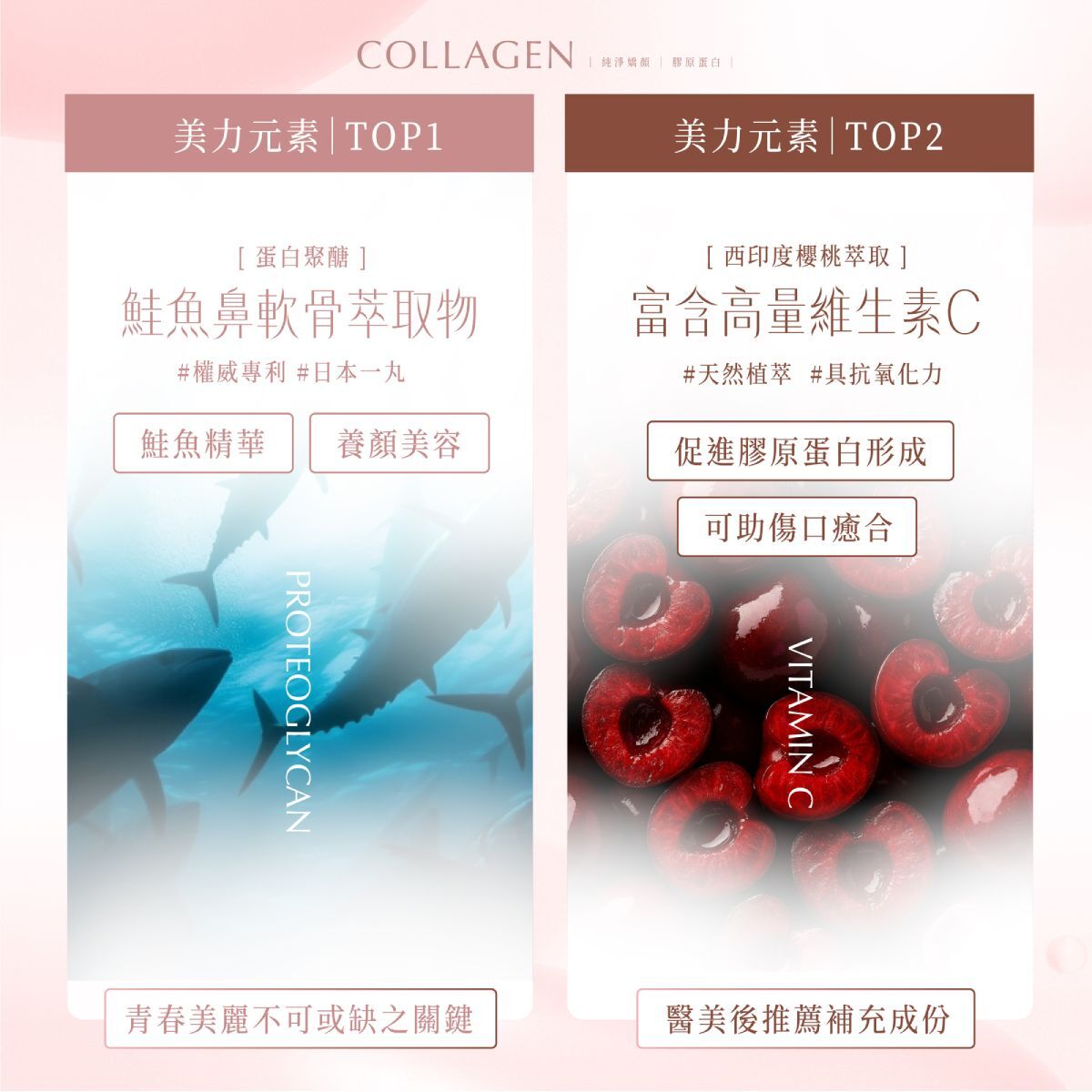好妍備份 POOG 膠原蛋白 關鍵成分 鮭魚鼻軟骨萃取(蛋白聚醣)與西印度櫻桃維生素C 促進膠原形成