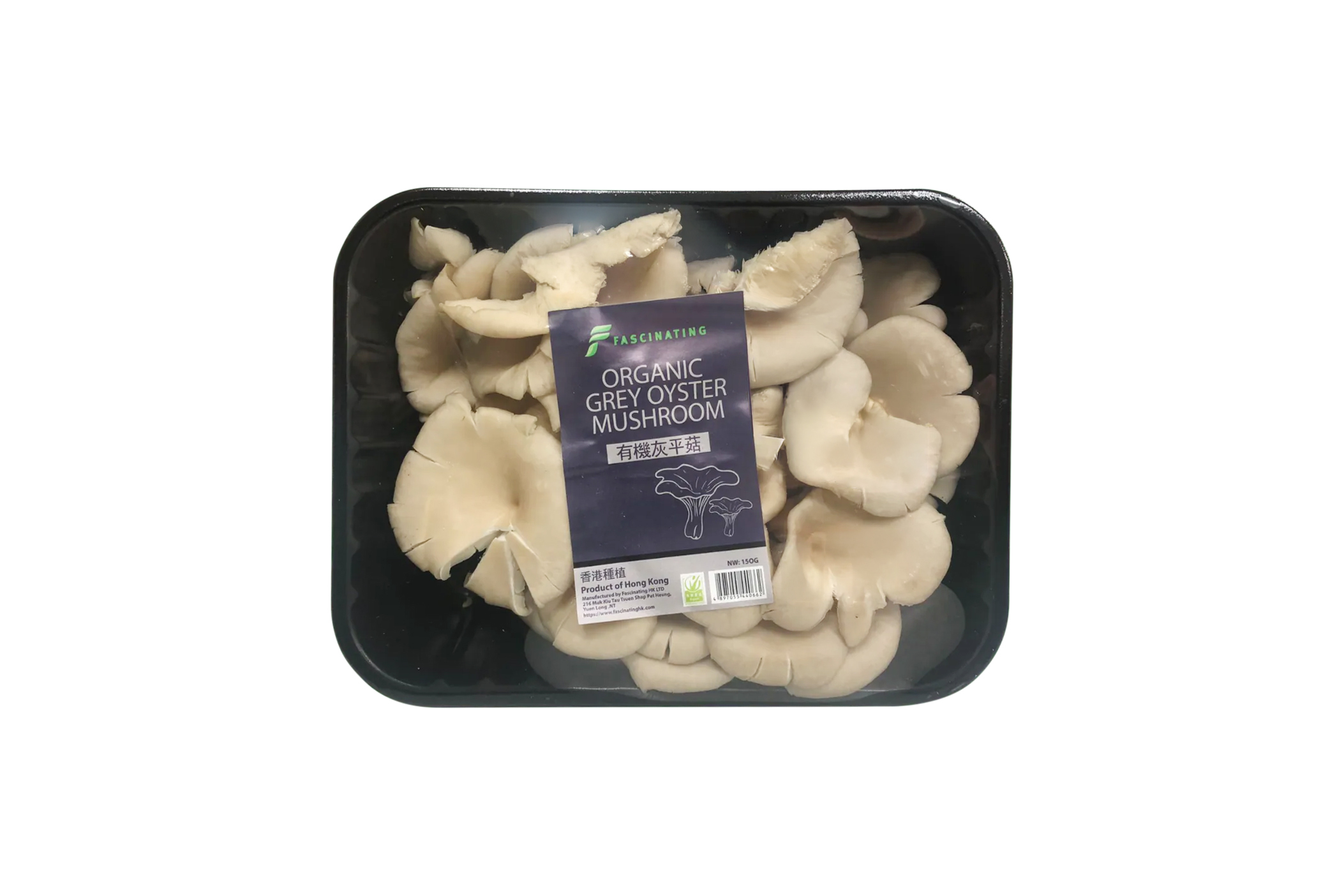 Local Organic Grey Oyster Mushroom
