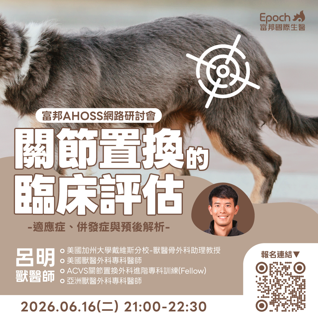 犬貓關節置換的臨床評估