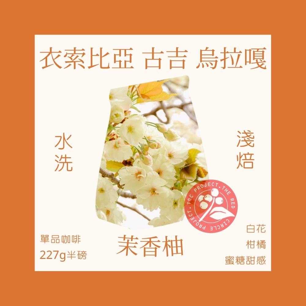 【紅圈計畫】淺焙｜衣索比亞 古吉 烏拉嘎 茉香柚 水洗處理法 咖啡豆 半磅(227g) ｜友善咖啡 永續咖啡｜暖窩咖啡