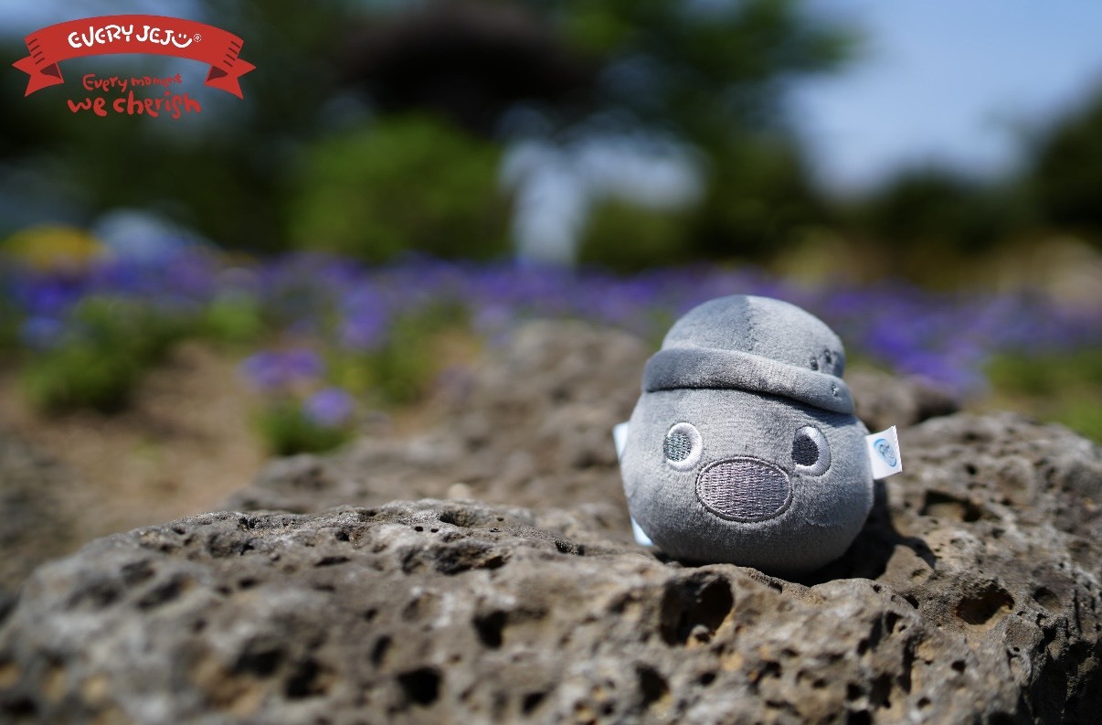 韓國濟州島 PINGU 企鵝家族 擠壓球玩偶