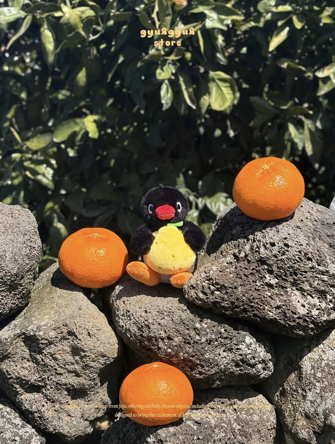 韓國濟州島 PINGU 企鵝家族 抱橘子 玩偶吊飾
