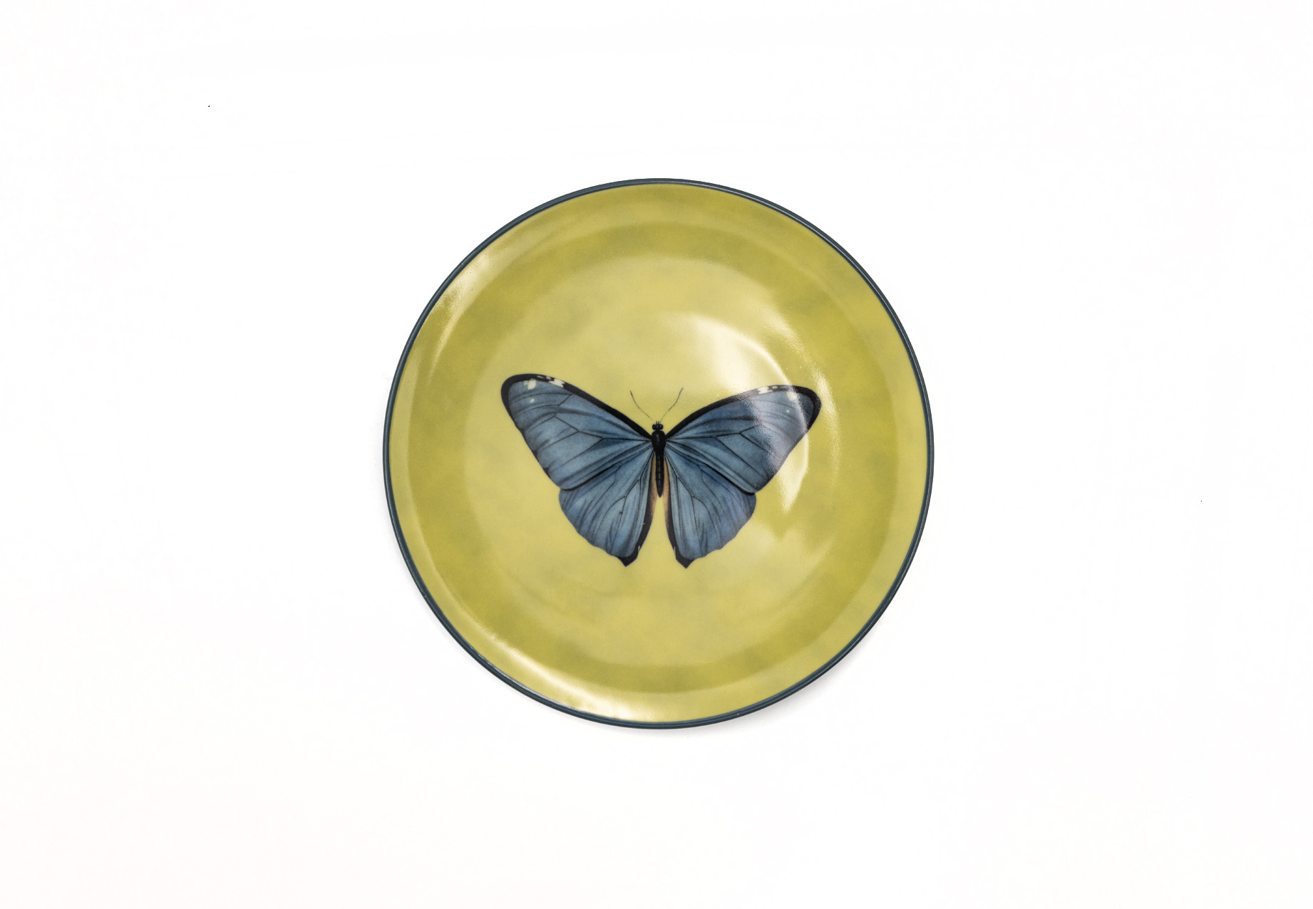 Les Ottomans｜Insetti Porcelain Plate - 21cm