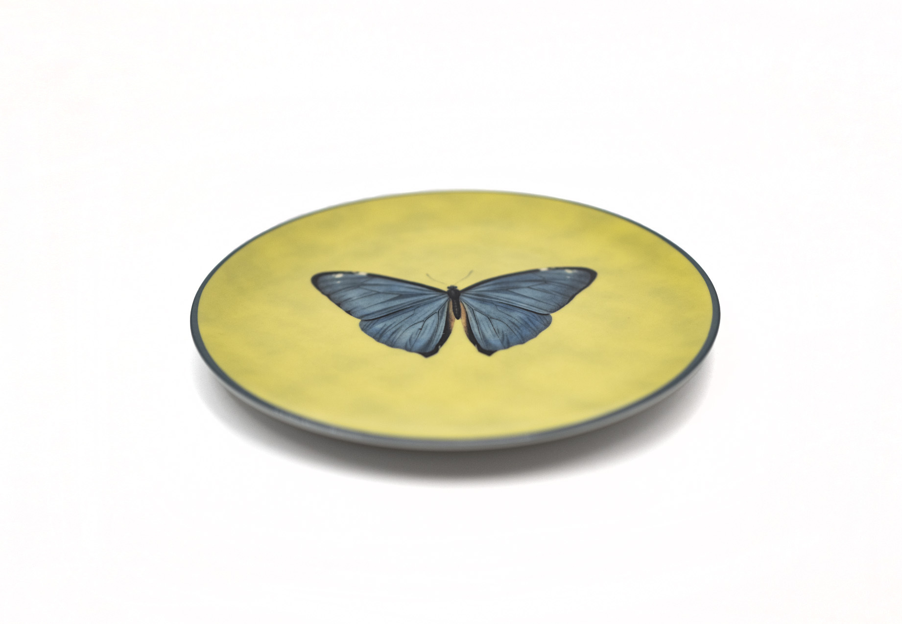 Les Ottomans｜Insetti Porcelain Plate - 21cm