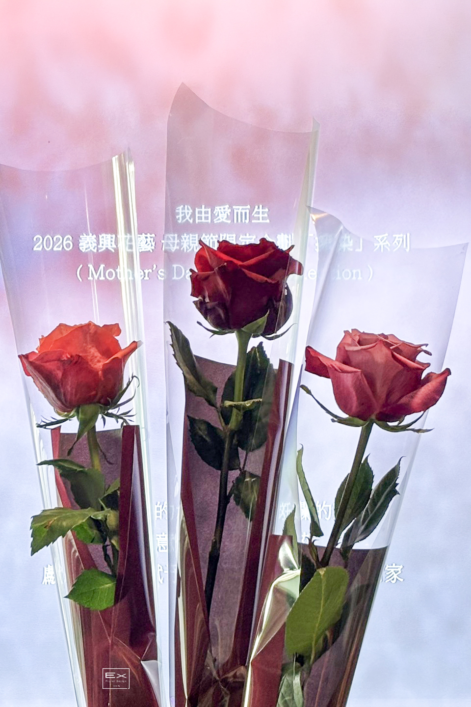 全台限量 頂級特長 厄瓜多玫瑰