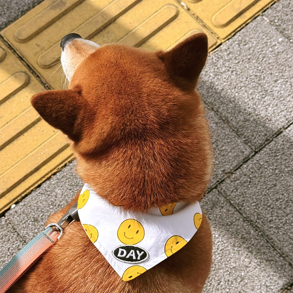 【預購】cuddly day｜Smile Everyday 三角巾