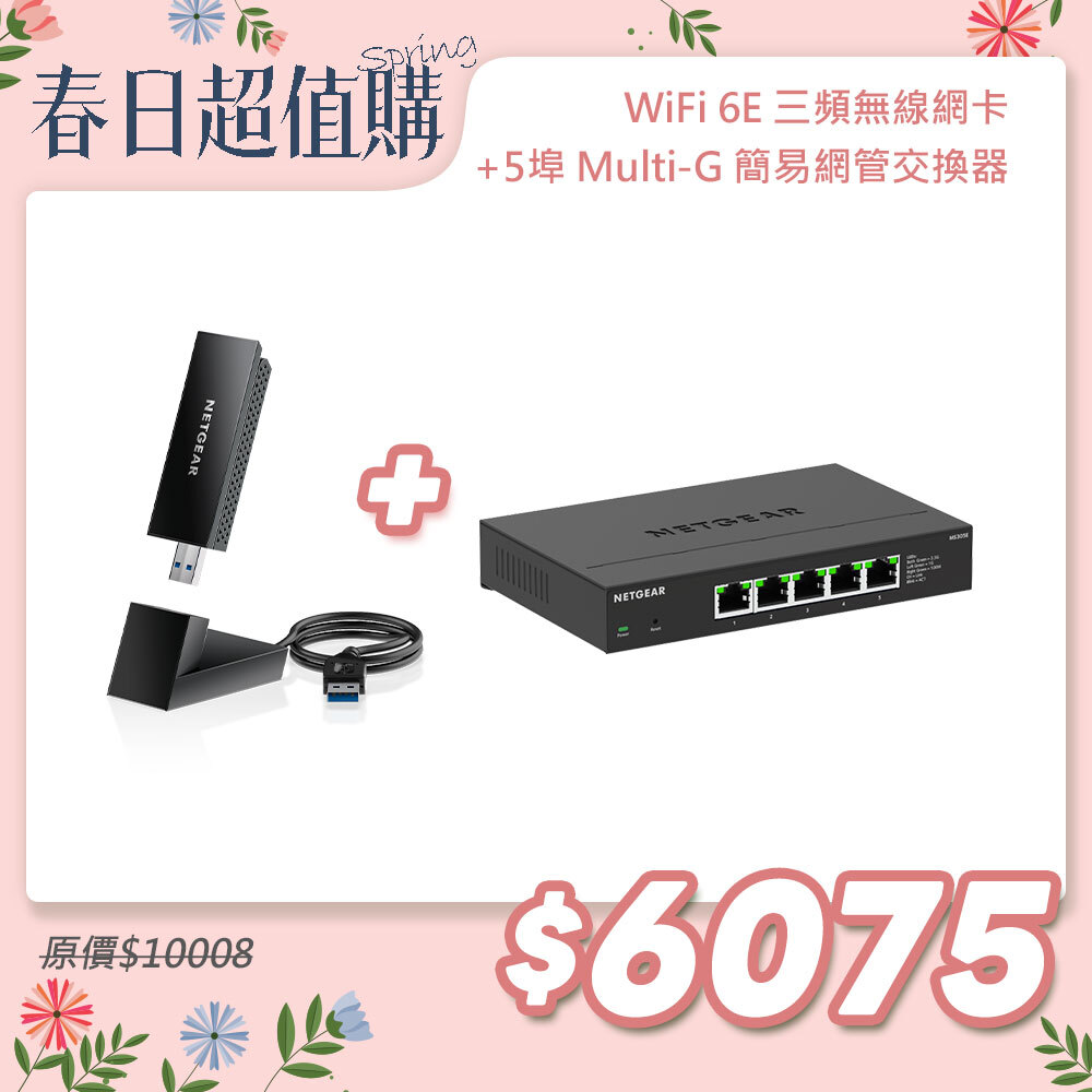 NETGEAR 簡易網管交換器 Multi-Giga 交換器 MS305E