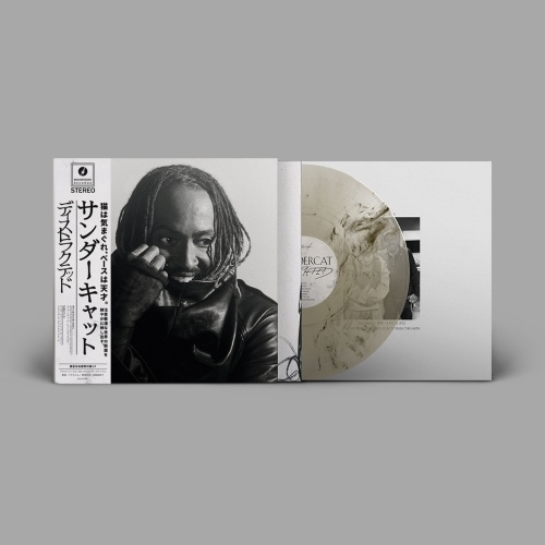 Thundercat《Distracted＜数量限定盤＞》（日文obi彩膠2LP）