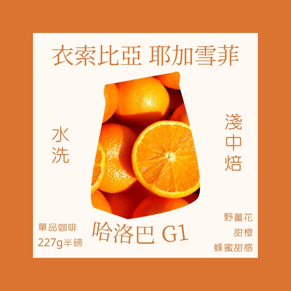 衣索比亞 耶加雪菲 哈洛巴 G1 水洗處理法 咖啡豆 (半磅)｜淺中焙｜野薑花與甜橙蜂蜜風味｜暖窩咖啡