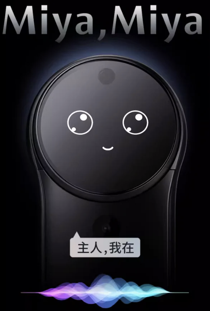 DESMAN 德施曼 R9 (雲台版) 電子門鎖