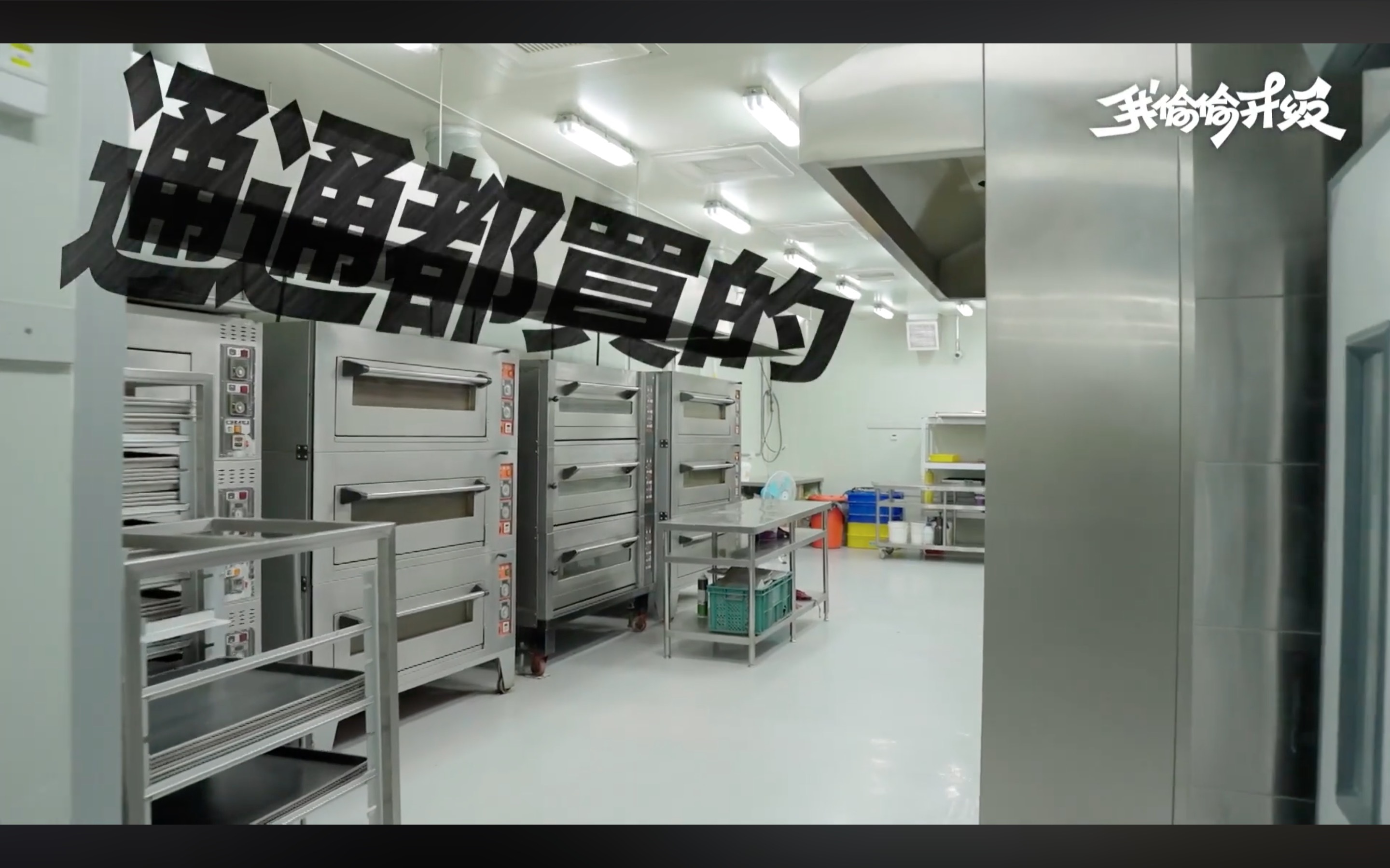 HOHOS中央工廠烤箱區全景，多台專業層式烤箱並排