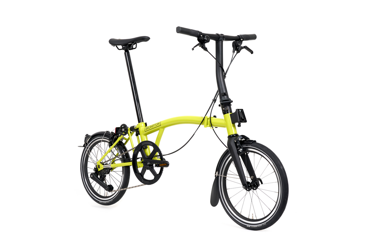 Brompton P Line 楊桃金