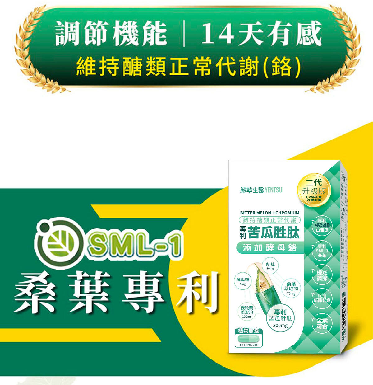 苦瓜胜肽-鉻-醣類正常代謝-嚴萃保健-15