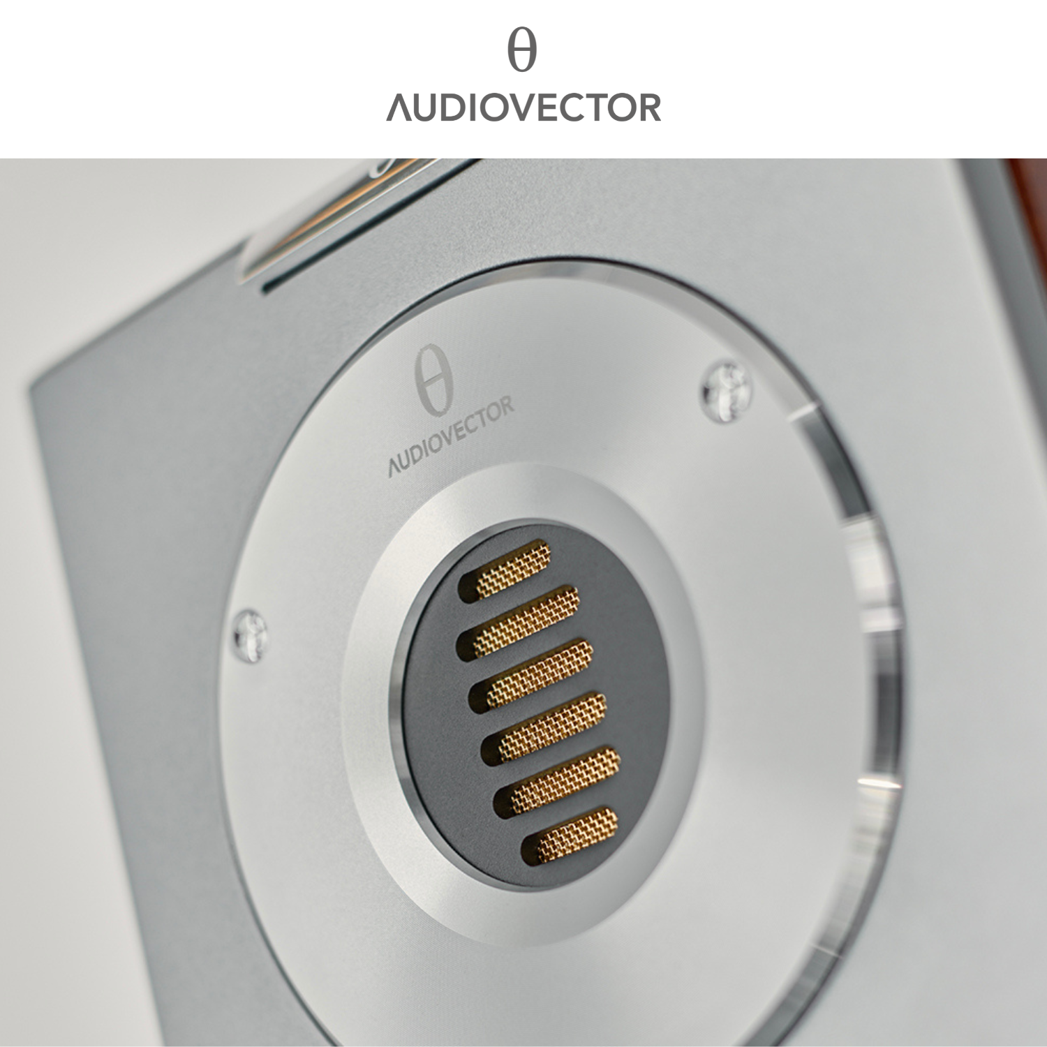 Audiovector R5 Arrete Speaker Tweeter Closeup