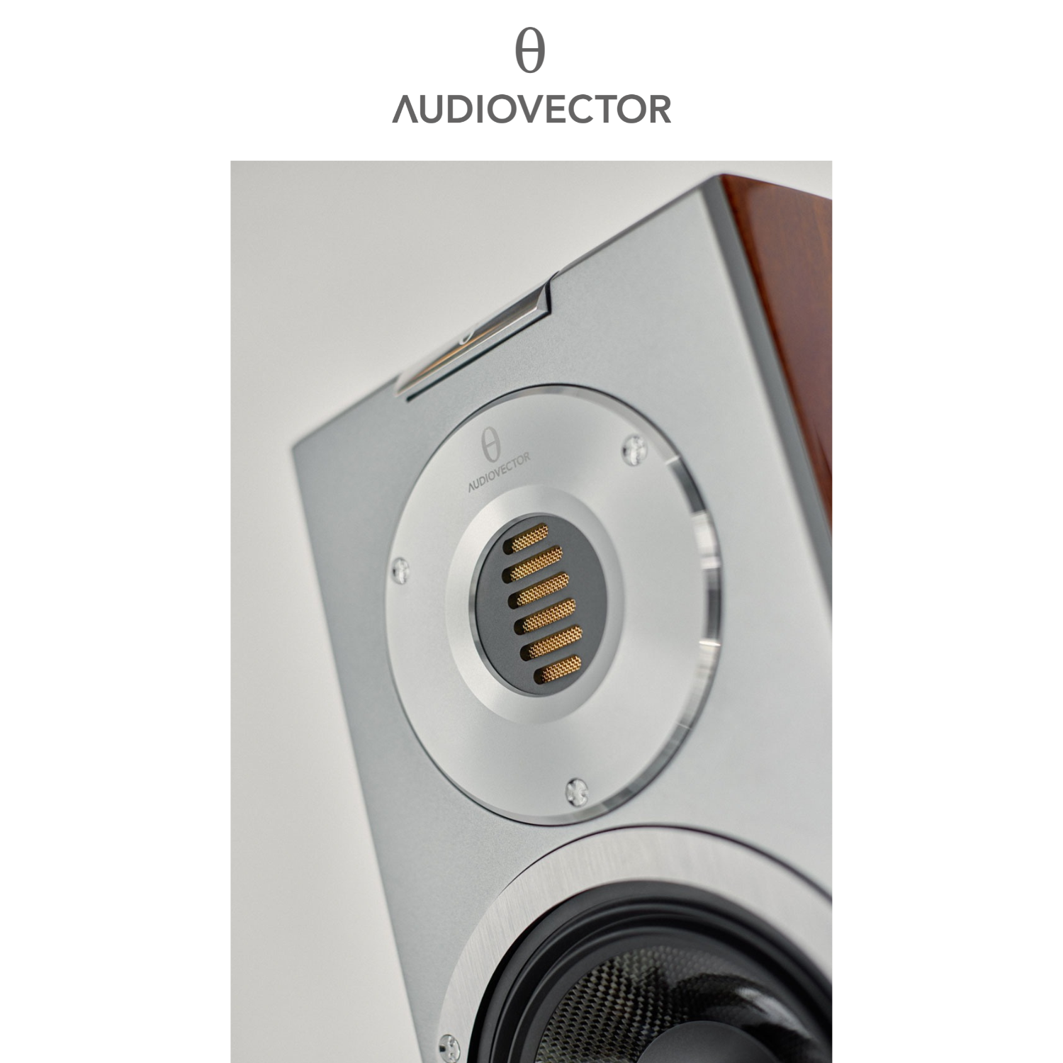 Audiovector R5 Arrete Speaker Tweeter Midrange