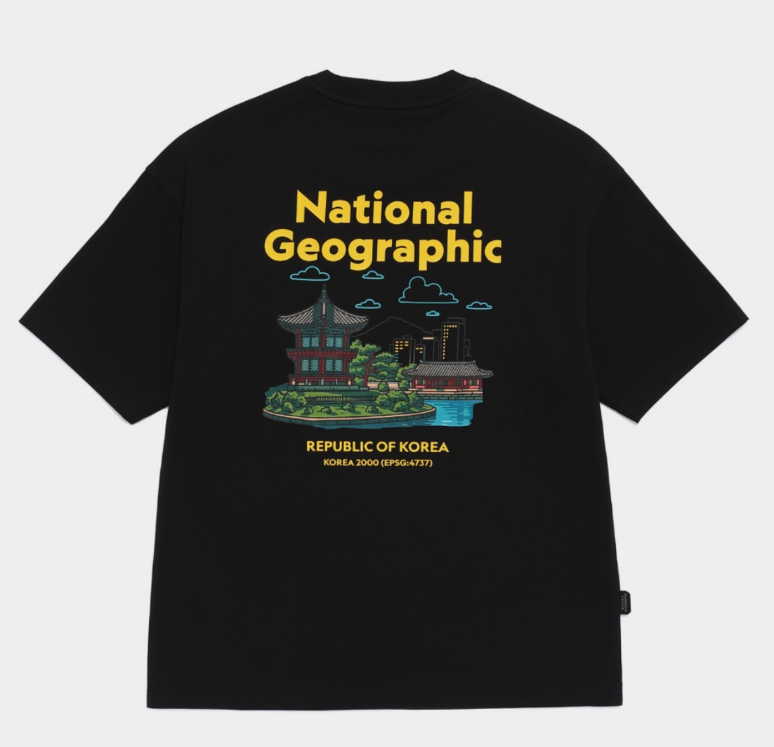 【現貨】NATIONAL GEOGRAPHIC 國家地理 彩色首爾 圖像 短tee N262UTS621