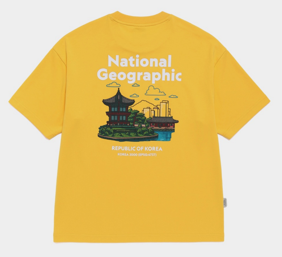 【現貨】NATIONAL GEOGRAPHIC 國家地理 彩色首爾 圖像 短tee N262UTS621