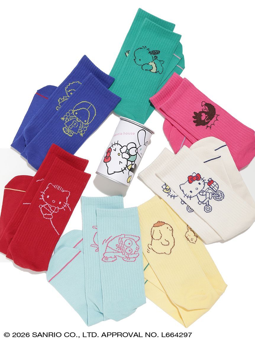🇯🇵 SANRIO 三麗鷗 秘密收藏 長襪 襪子 鐵盒盲盒 HELLO KITTY 酷企鵝 布丁狗 PATTY&JIMMY 人魚漢頓 帕恰狗 / 預購