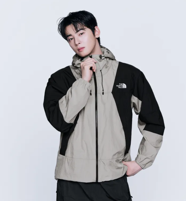 【代購】 THE NORTH FACE 1994 MOUNTAIN JACKET 涼感輕量登山夾克 NJ3BR02B 車銀優同款