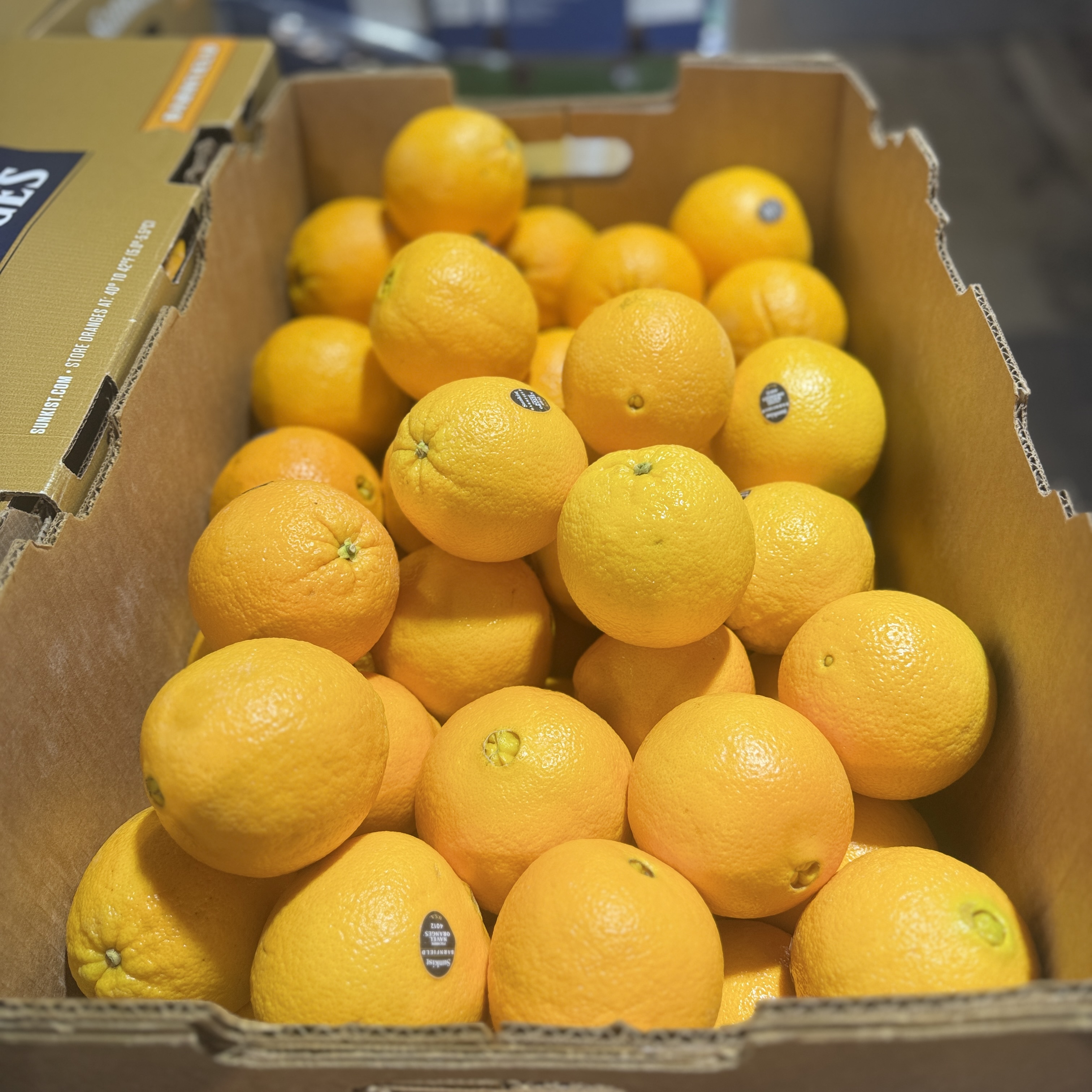 Hung Tai Fresh Fruit - Sunkist Barnfield Oranges, USA