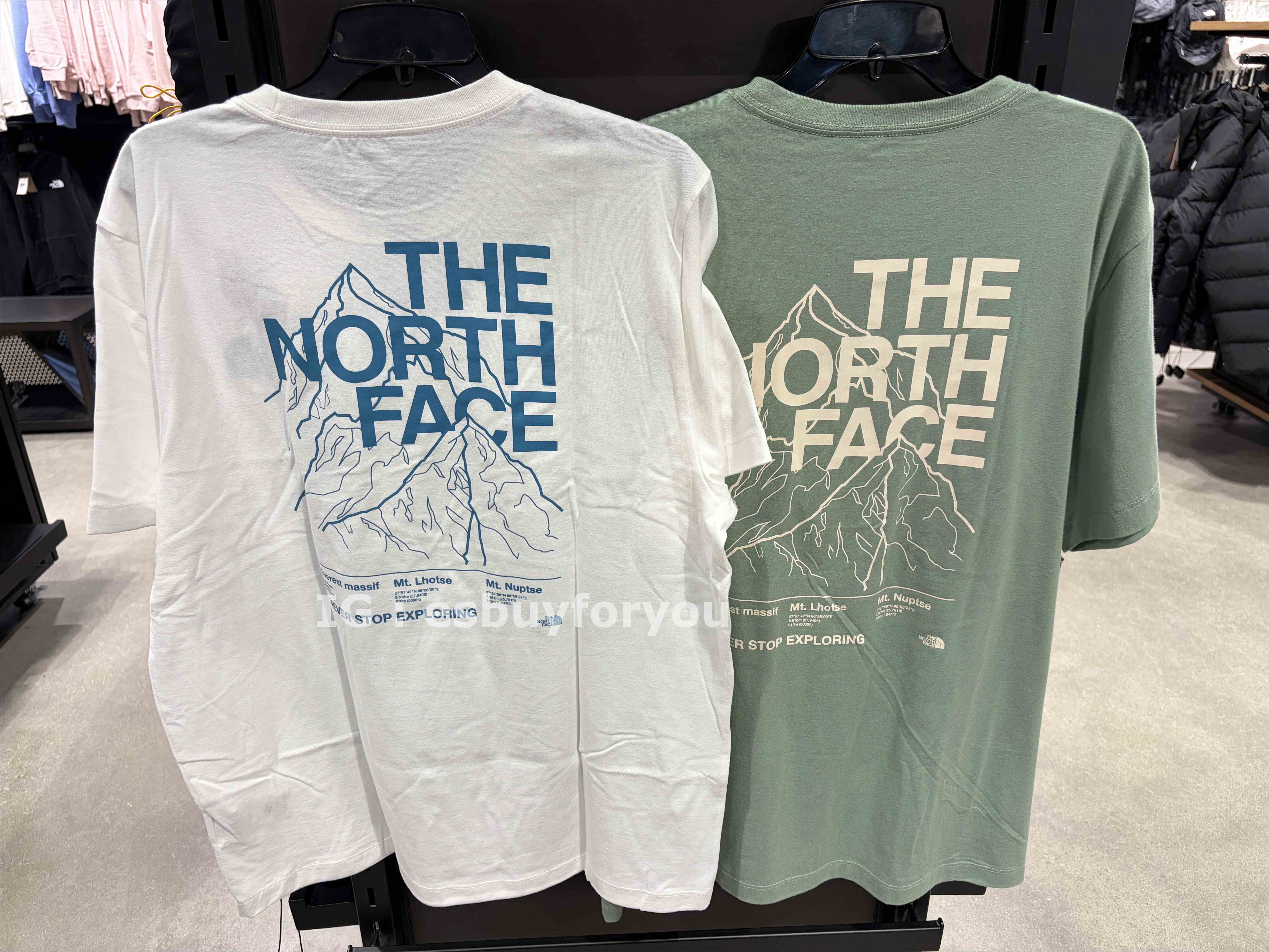 THE NORTH FACE 男大人 正反 雪山圖案 短TEE (2色)