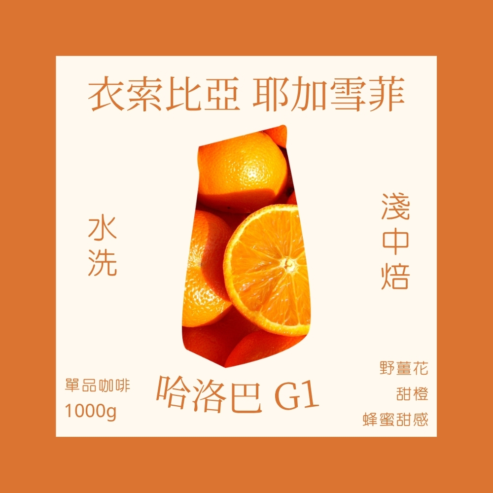 淺中焙｜衣索比亞 耶加雪菲 哈洛巴 G1 水洗處理法 一公斤裝 咖啡豆｜暖窩咖啡