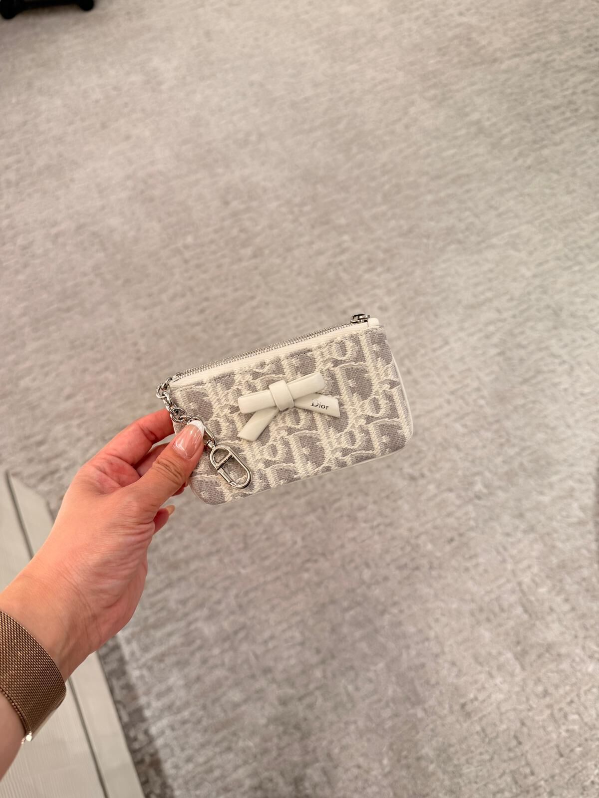 Dior Promenade Mini Pouch