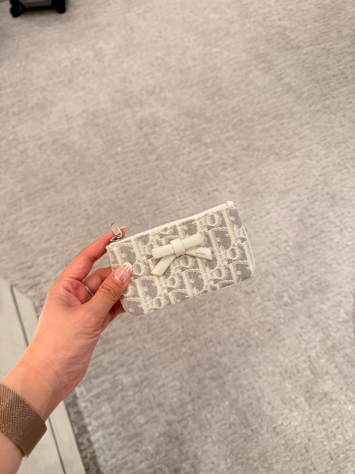Dior Promenade Mini Pouch