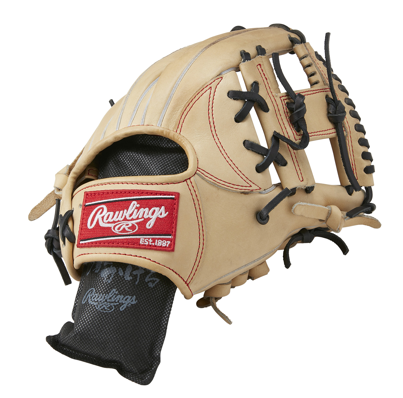 RAWLINGS グラブドライヤー グローブメンテナンス用品 EAOL16S04