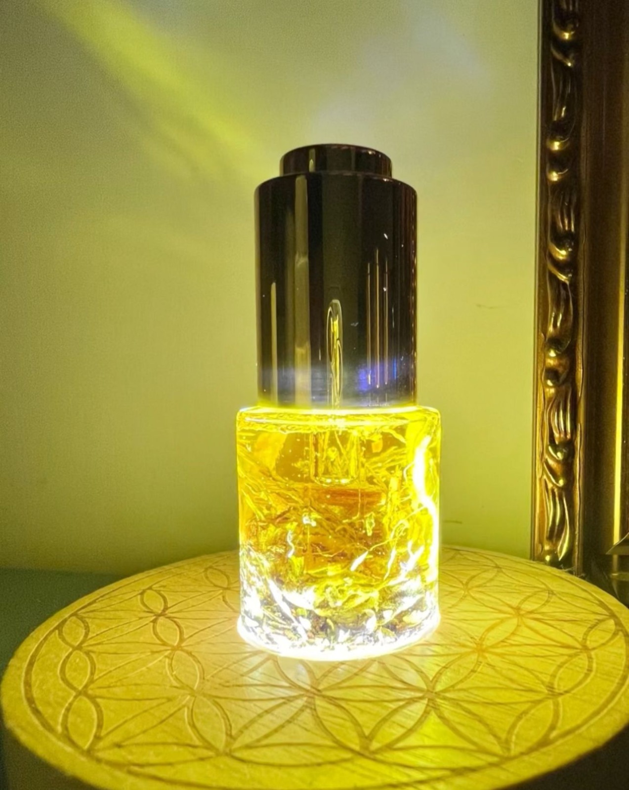 A6 財富及豐盛能量搖錢樹油 (經師傅開光)