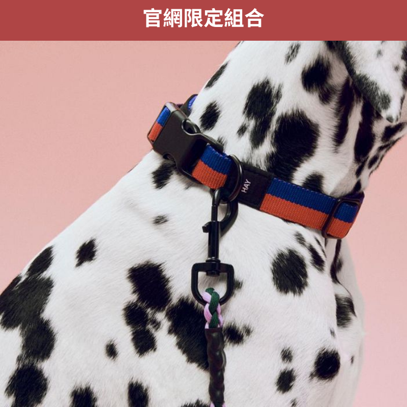 HAY Dogs 萌寵散步組合
